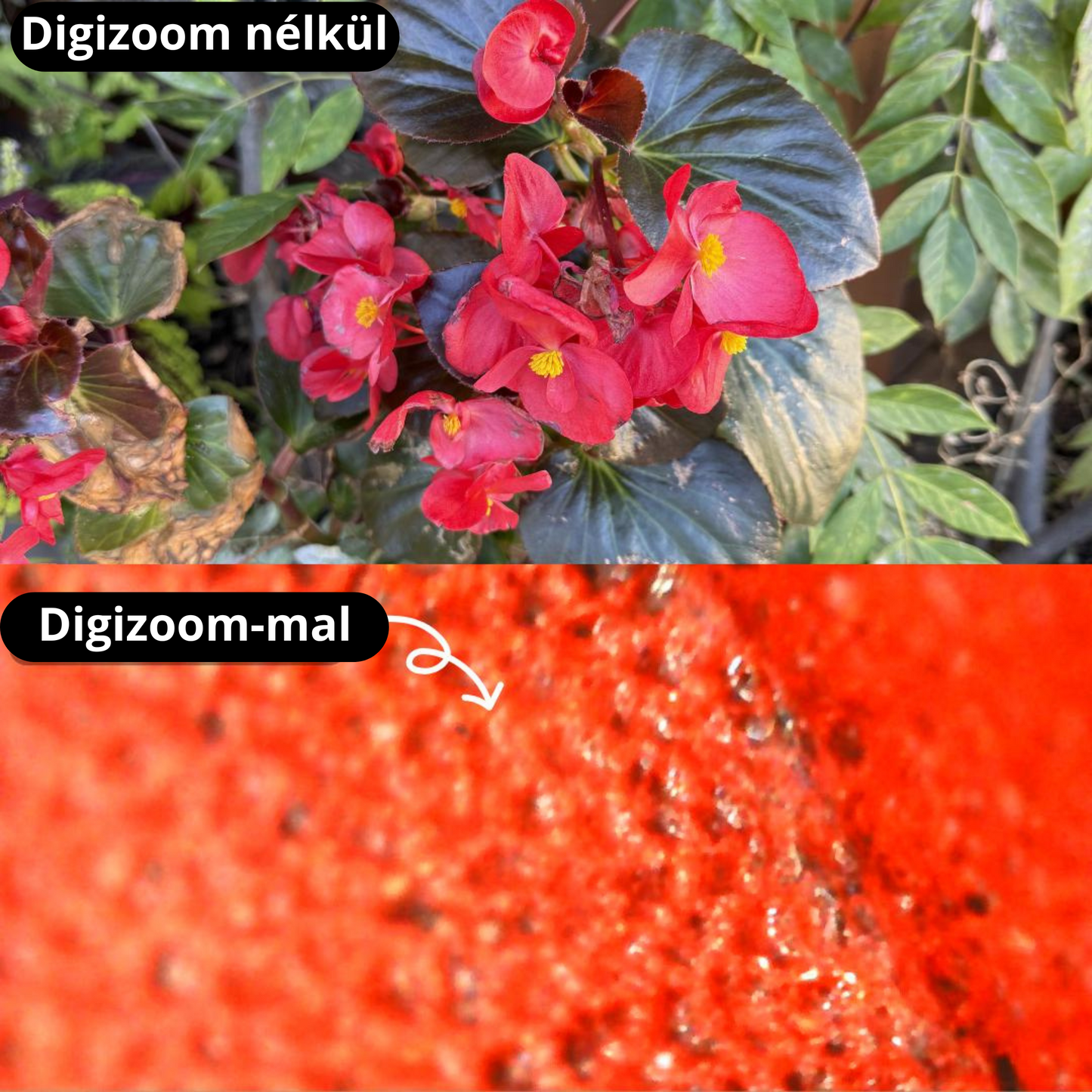 Didokids™ DigiZoom - Gyermek Mikroszkóp 200x Nagyítással